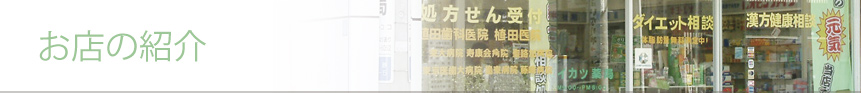 お店の紹介